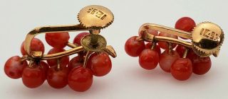 ANTIQUE 19TH C.  VICTORIAN CARVED RED CORAL GRAPE CLUSTER & 14K GOLD EARRINGS 6