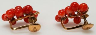 ANTIQUE 19TH C.  VICTORIAN CARVED RED CORAL GRAPE CLUSTER & 14K GOLD EARRINGS 7