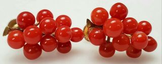 ANTIQUE 19TH C.  VICTORIAN CARVED RED CORAL GRAPE CLUSTER & 14K GOLD EARRINGS 8