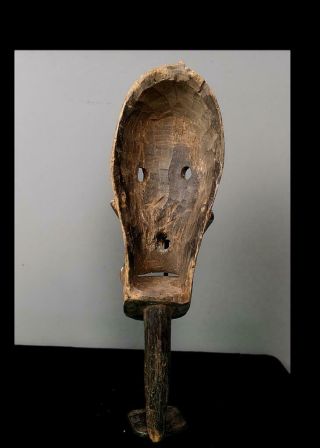 Old Tribal Unusual Bozo Spotted Skull Mask - Mali 5