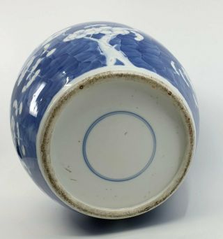 Large Antique Chinese Blue and White Porcelain Prunus Jar 10