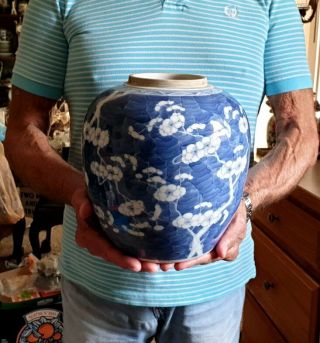 Large Antique Chinese Blue and White Porcelain Prunus Jar 2