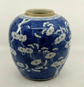 Large Antique Chinese Blue and White Porcelain Prunus Jar 3