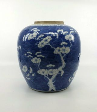 Large Antique Chinese Blue and White Porcelain Prunus Jar 6