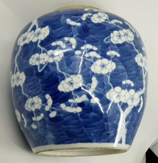 Large Antique Chinese Blue and White Porcelain Prunus Jar 8