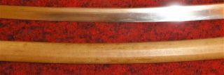 Big Huge Japanese sword Old Hamon 6