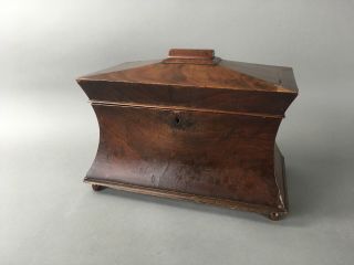 Antique 19th C.  Regency Burl Wood Large English Tea Caddy Humidor