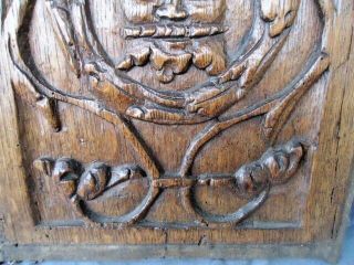 RARE 17TH CENTURY SMALL OAK CARVED COFFER PANEL,  CENTRAL CARVED CROWNED HEAD 5