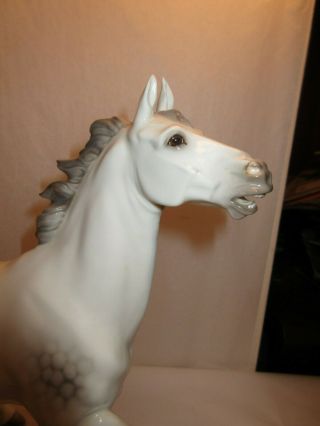 Vintage German Nymphenburg Porcelain Stallion Horse Figurine - 2