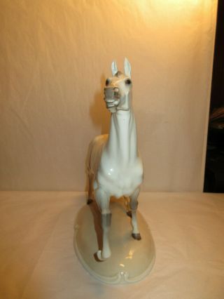 Vintage German Nymphenburg Porcelain Stallion Horse Figurine - 3