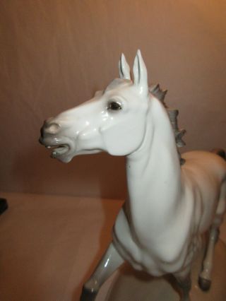 Vintage German Nymphenburg Porcelain Stallion Horse Figurine - 4