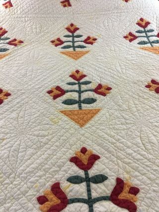 OMG VINTAGE HANDMADE CHEDDAR & RED COLONIAL TULIP QUILT 77 