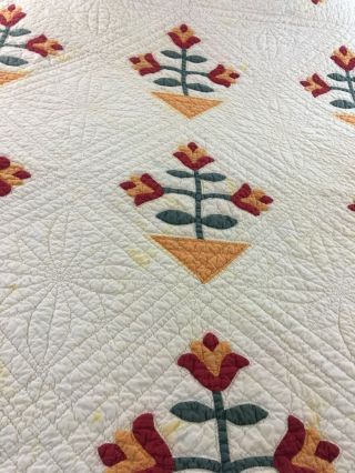 OMG VINTAGE HANDMADE CHEDDAR & RED COLONIAL TULIP QUILT 77 