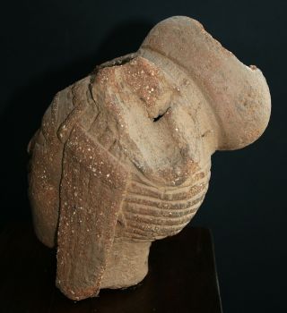 African Art,  NOK,  terracota head fragment,  Nigeria,  TL - 4