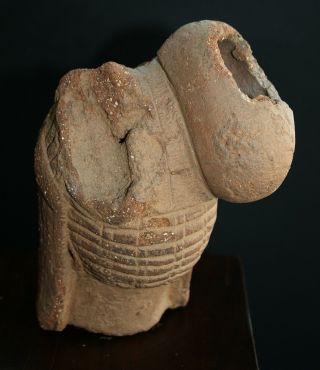 African Art,  NOK,  terracota head fragment,  Nigeria,  TL - 5