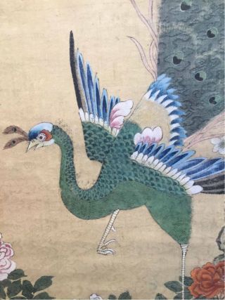Chinese Painting Hanging Scroll China Phoenix Bird Vintage Antique Picture D331
