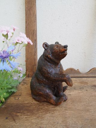 Black Forest Brienz.  Bear Sculpture Swiss Carving.  6 "