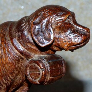 Late 19th Century Black Forest Carving of a St.  Bernard Dog 6