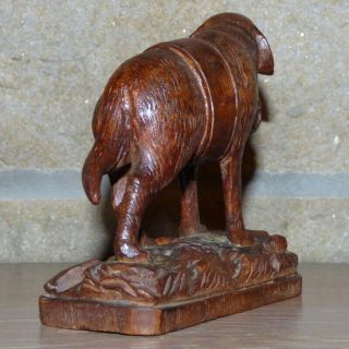 Late 19th Century Black Forest Carving of a St.  Bernard Dog 8
