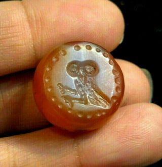 Ancient Carenlian Extremely Rare Signet Wise Old Greek Owl Bird Intaglio Bead