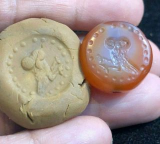 Ancient Carenlian Extremely RARE Signet Wise Old Greek owl Bird intaglio Bead 3