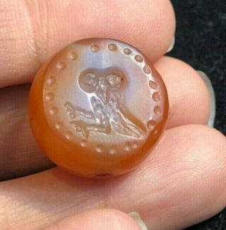 Ancient Carenlian Extremely RARE Signet Wise Old Greek owl Bird intaglio Bead 5