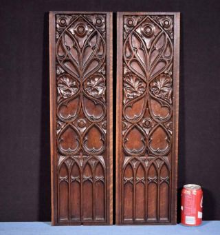 French Antique Gothic Revival Panels In Oak Wood Salvage