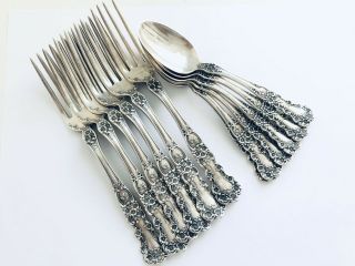 Gorham " Buttercup " Sterling Silver,  7 " Dinner Forks & 5 13/16 " Teaspoons,  12pcs