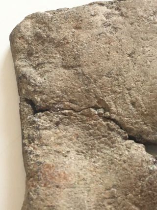 Medieval Pilgrims Ampulla 15th Century Relic Scarce Item Metal Detecting Find 5