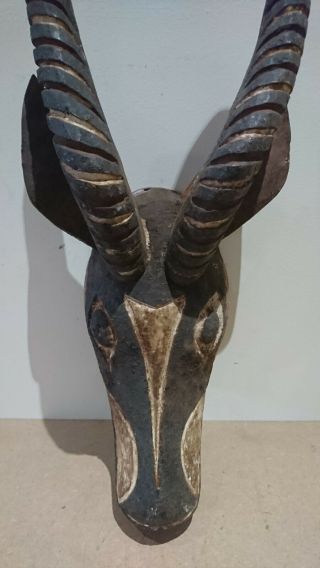 Rare and fine wood African Bobo Bwa Antelope mask.  example. 2