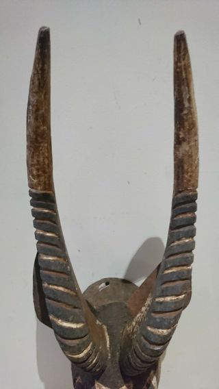 Rare and fine wood African Bobo Bwa Antelope mask.  example. 3