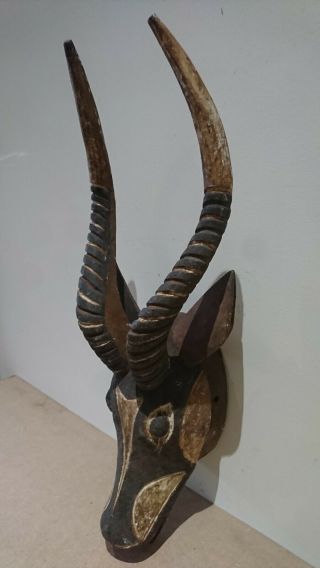 Rare and fine wood African Bobo Bwa Antelope mask.  example. 4