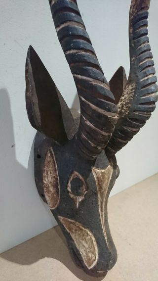 Rare and fine wood African Bobo Bwa Antelope mask.  example. 6