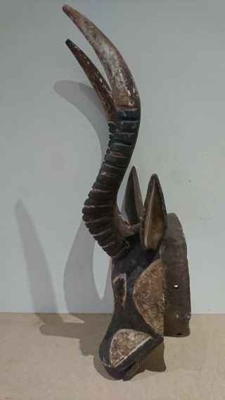 Rare and fine wood African Bobo Bwa Antelope mask.  example. 7