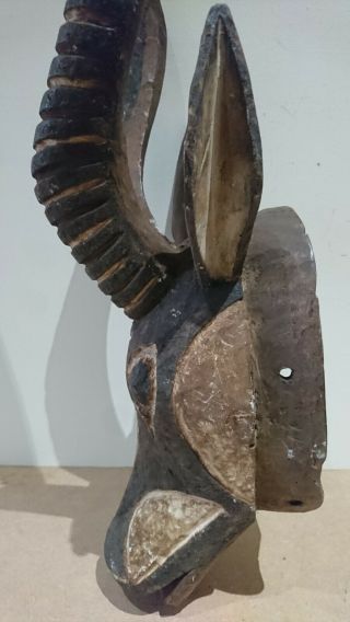 Rare and fine wood African Bobo Bwa Antelope mask.  example. 8
