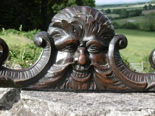 19thc Gothic Oak Carved Green Man Pediment With Scrolling C.  1860