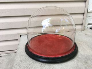 Antique 12 " Round Hand Blown Glass Dome Display Cloche With Felt Lined Base