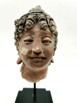 Attractive Gandhara Culture Ca.  100 Ad Stucco Head Of A Princess - Rare - R317