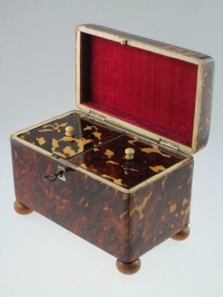 Rare Antique 19th Century Faux Tortoiseshell Tea Caddy Circa 1820 12