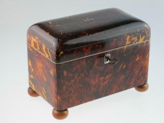 Rare Antique 19th Century Faux Tortoiseshell Tea Caddy Circa 1820 2