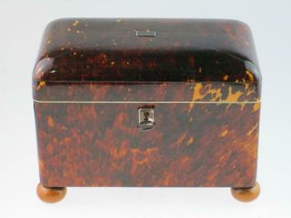 Rare Antique 19th Century Faux Tortoiseshell Tea Caddy Circa 1820 3