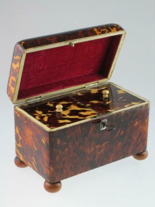 Rare Antique 19th Century Faux Tortoiseshell Tea Caddy Circa 1820 4