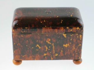 Rare Antique 19th Century Faux Tortoiseshell Tea Caddy Circa 1820 6