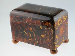 Rare Antique 19th Century Faux Tortoiseshell Tea Caddy Circa 1820 7