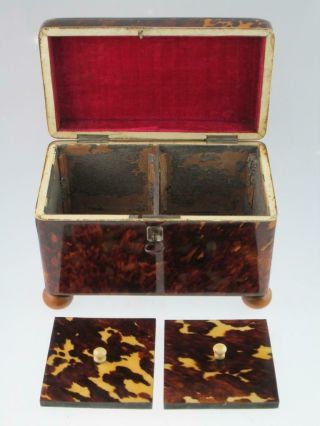 Rare Antique 19th Century Faux Tortoiseshell Tea Caddy Circa 1820 8