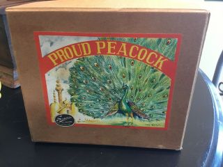 RARE ALPS OCCUPIED JAPAN TIN LITHO WIND UP PROUD PEACOCK TOY W/ORIG BOX WOW 5