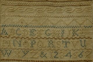 VERY SMALL LATE 18TH CENTURY ALPHABET SAMPLER BY PLEASANCE WARD - 1787 10