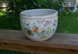 Antique Chinese Qing Porcelain Fish Bowl Famille Rose Floral Butterfly Planter