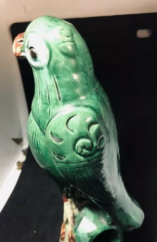Fantastic Old Chinese Tang Sancai Pottery Porcelain Parrot Bird Figure 8.  5 Inchs