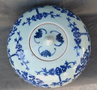 LARGE Chinese Porcelain Blue & White Vase & Lid with bats 4